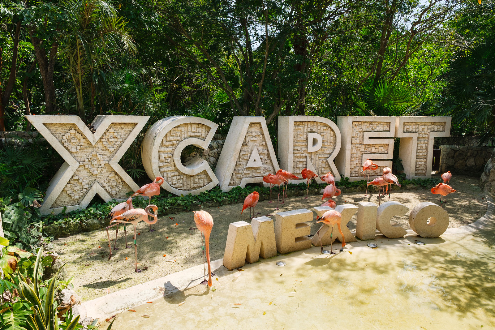 Xcaret Plus